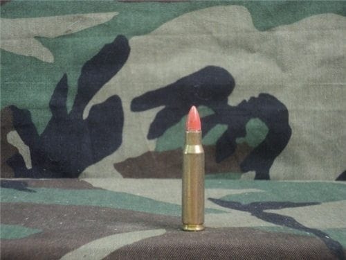 308 plastic bullet riot training ammo.